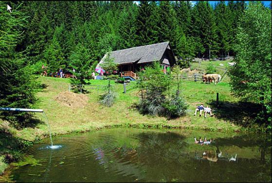 Panoramadorf Saualpe Hotel Eberstein Bagian luar foto